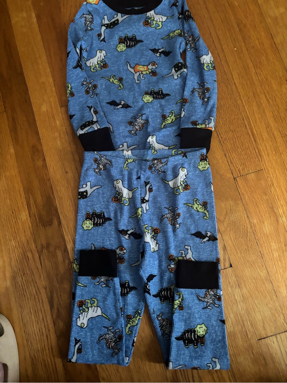 Blue Dinosaur Print Kids Pajama Set